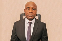 Fola Sowemimo & Co. | Our People | Akin Adewopo